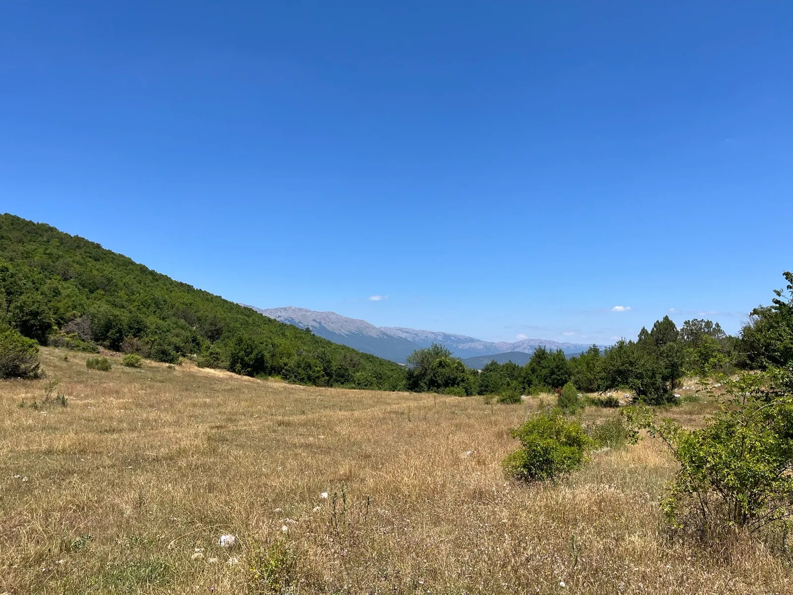 Toka djerrë, bujqësia ku thërret qameti